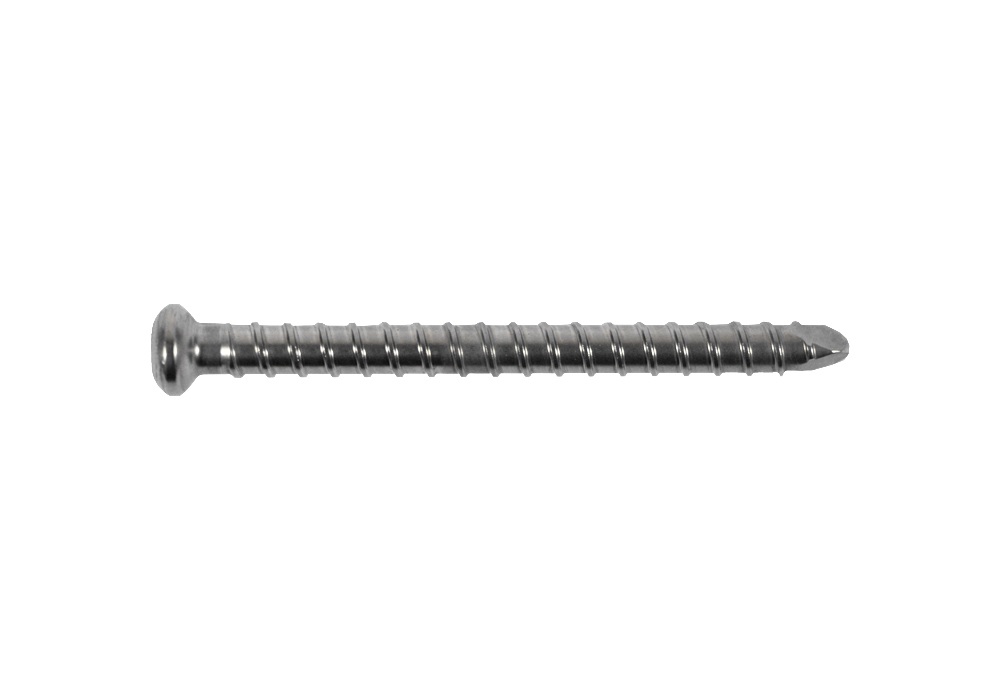 Synthes304.546AltBolt459.60.jpg