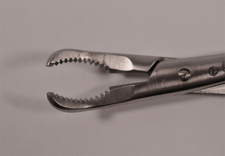 Zimmer83-2480-73CU.jpg