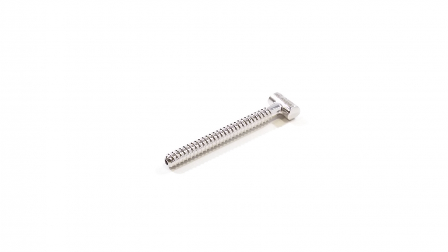 Richards / Smith &amp; Nephew Sacral Screw, 45mm