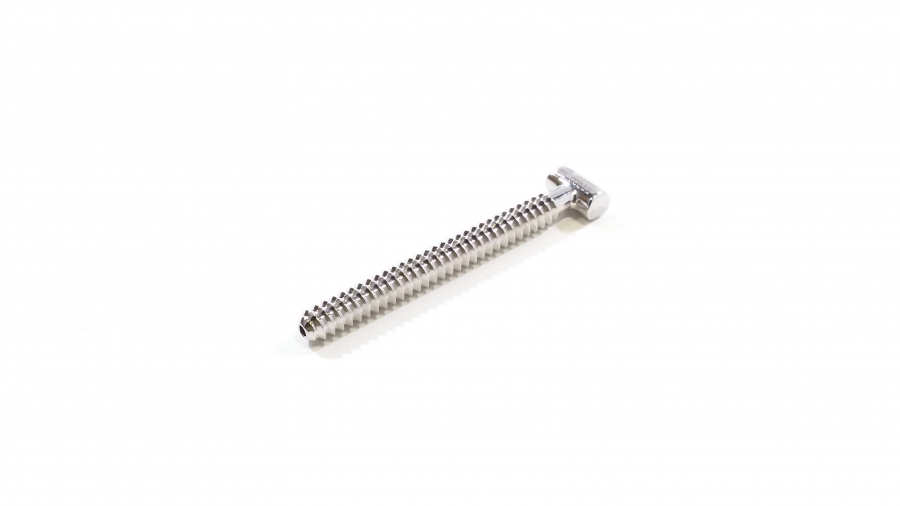 Richards / Smith &amp; Nephew Sacral Screw, 55mm