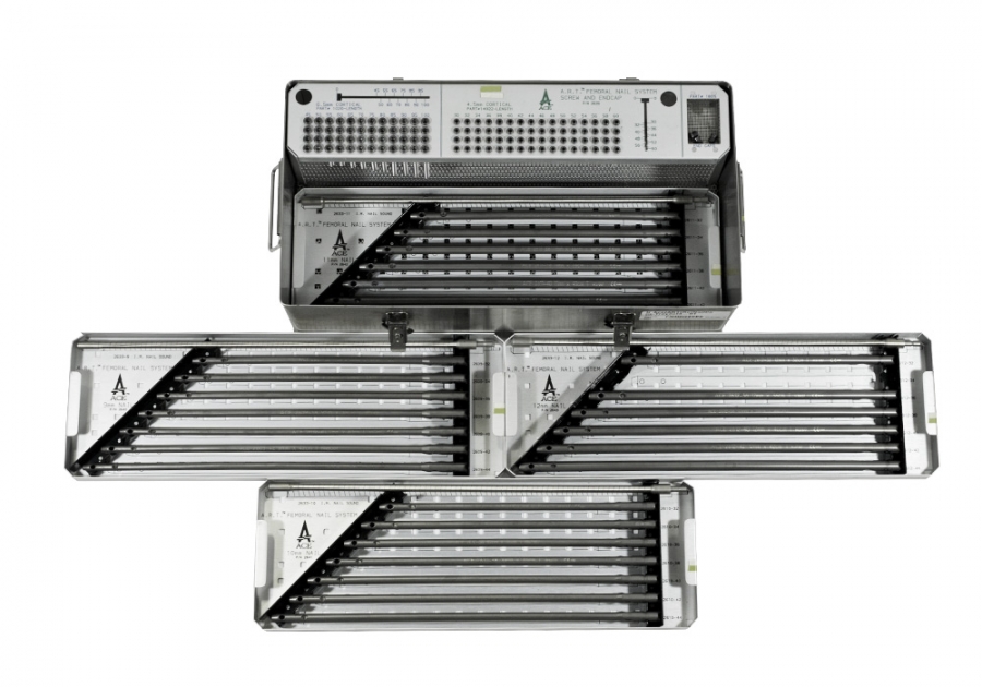 DePuy/Ace A.R.T. Nail and Screw System