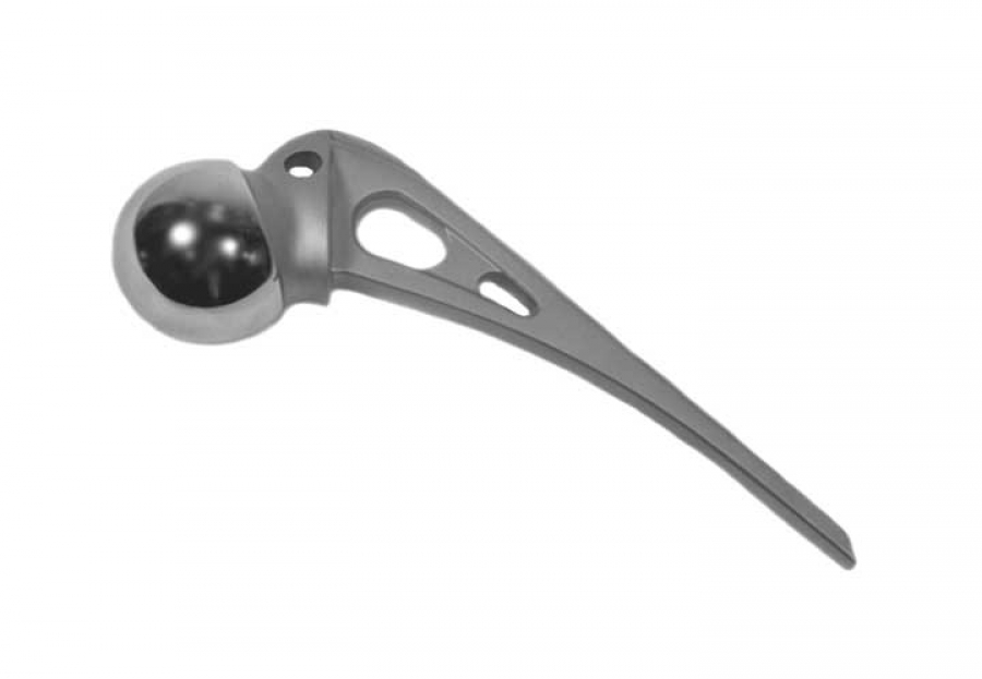 Zimmer Austin Moore Unipolar Femoral Heads