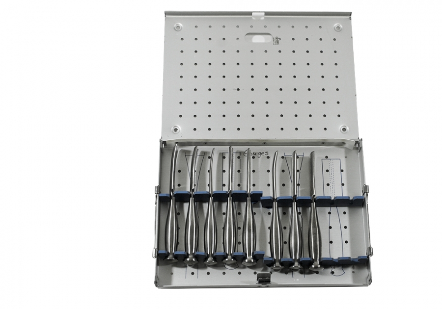 Zimmer Gouges Set