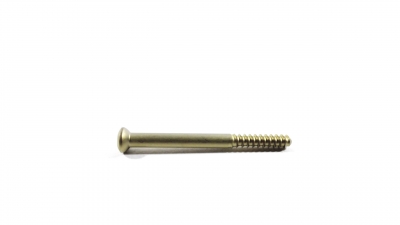 Synthes 3.5 mm Titanium Shaft Screws, Total Length 40 mm, Thread Length 12 mm